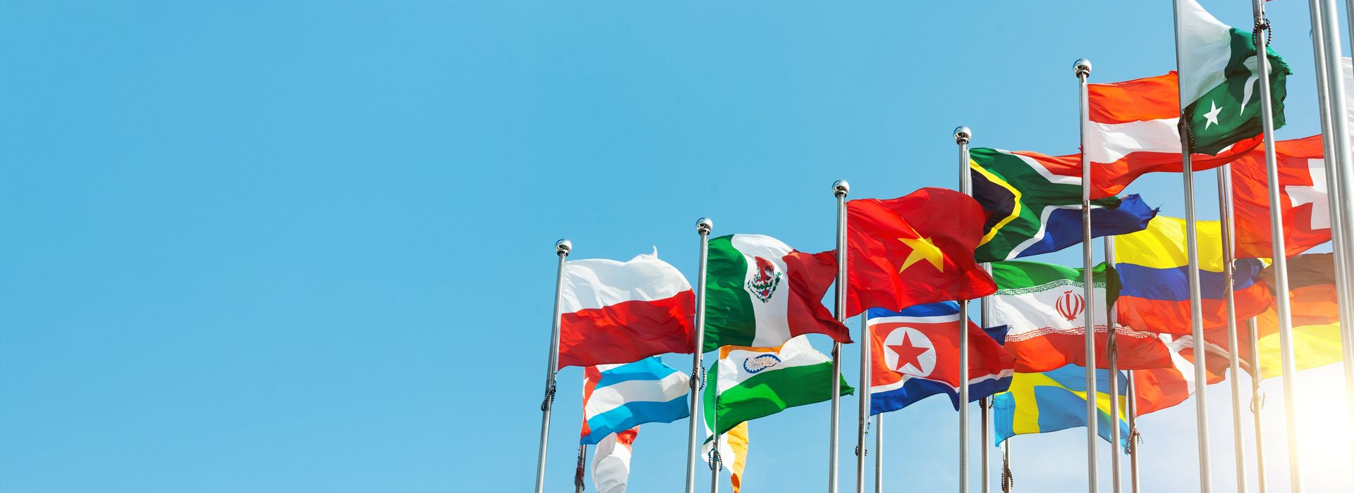 Mastère professionnel en diplomatie et relations internationales